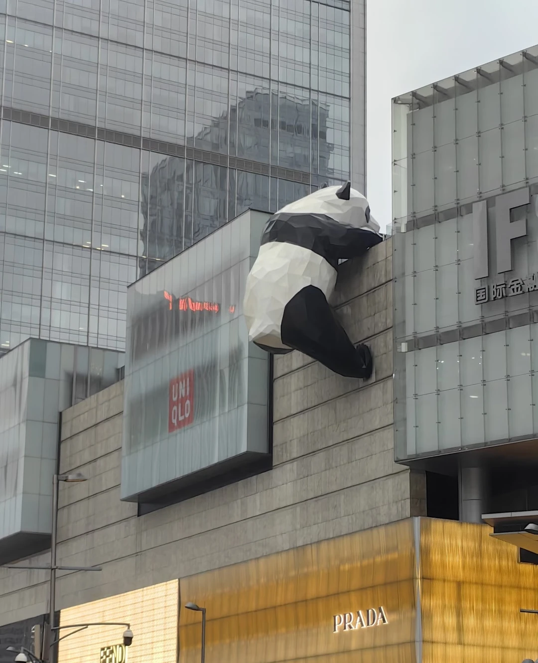 У нас была идеальная программа во время пересадки в Чэнду! У нас было всего около 10