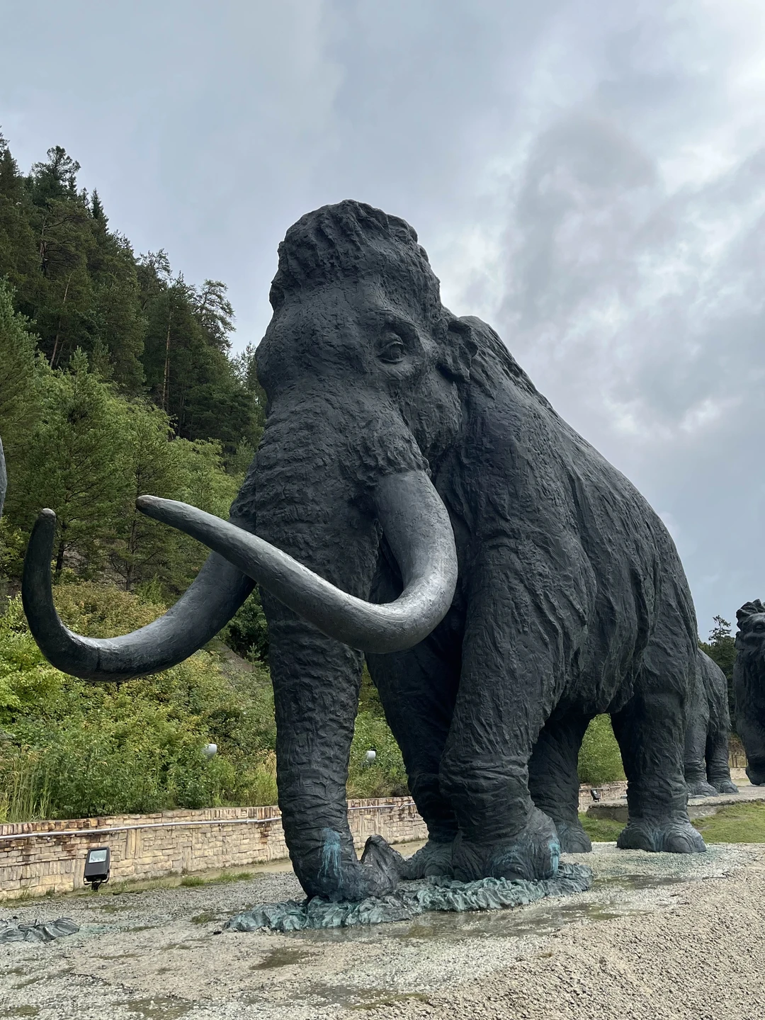 Супер команда! Экскурсия прошло превосходно