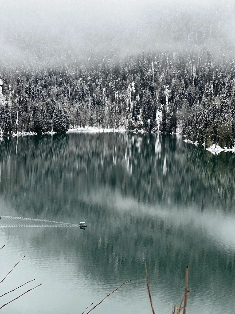 Охотники за мандаринами (10/19)