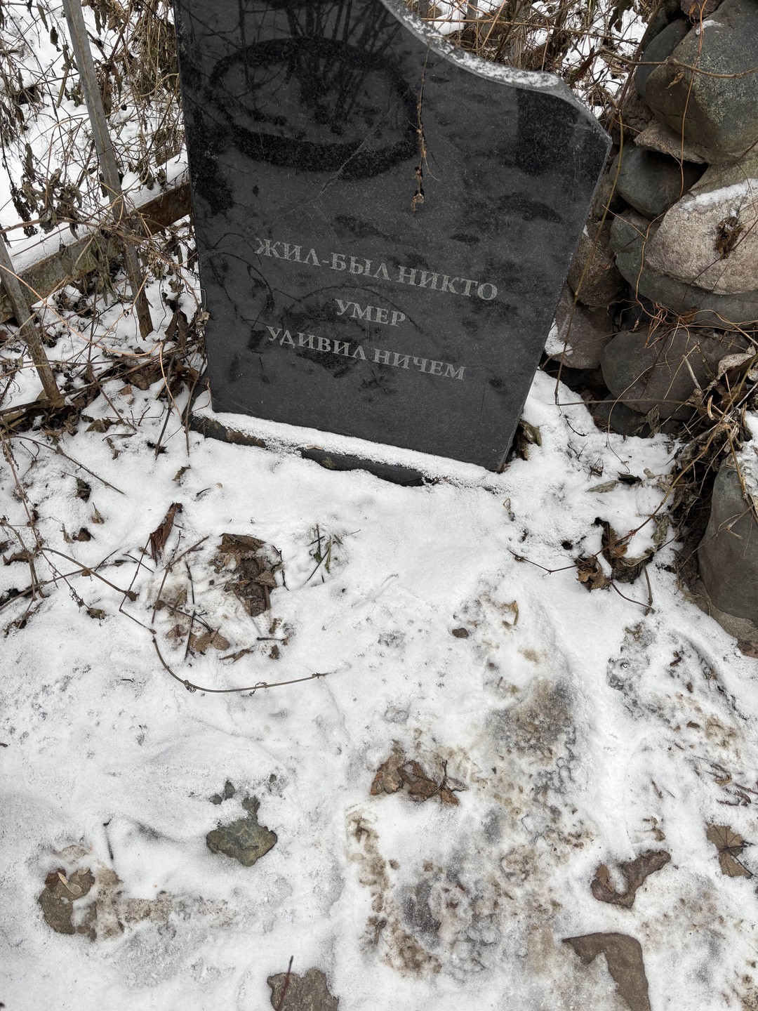 Нижний Новгород под градусом: тур по барам со знатоком (Татьяна)
