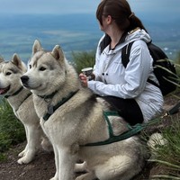 Фото отзыва 2: экскурсия "Рассвет на Бештау: утренний треккинг с хаски!"