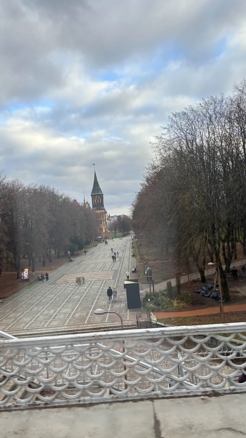 Отлично! Рекомендую! Спасибо большое
