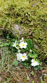 Фото отзыва 7: экскурсия ""