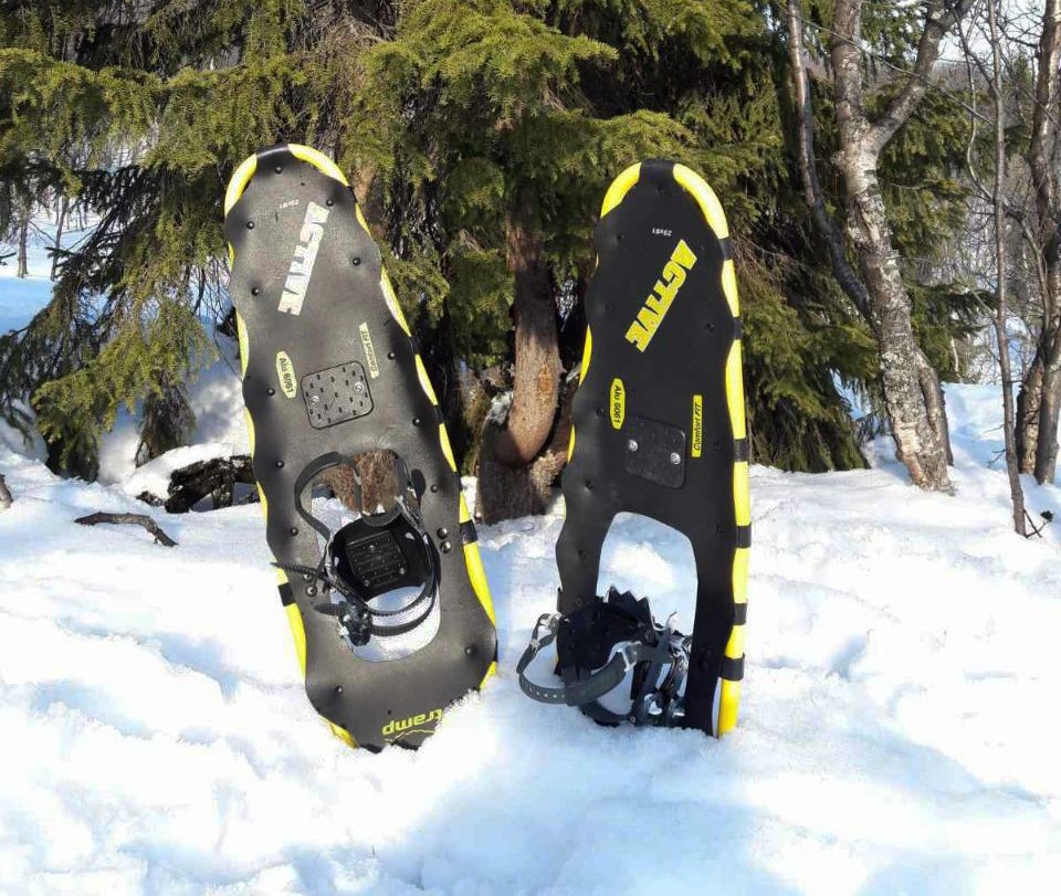 На снегоступах по непроторенным тропам! (8/9)