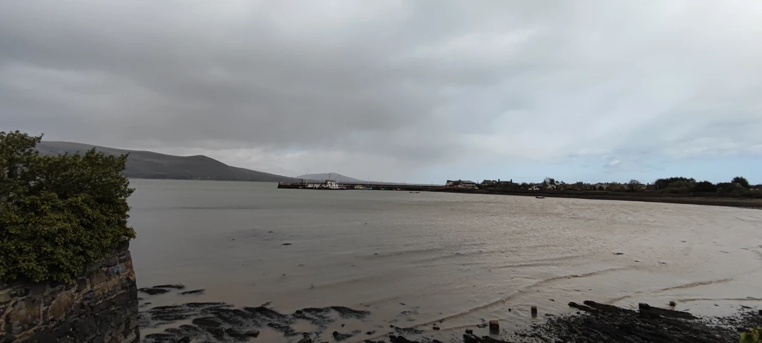 Всё было очень интересно. Удивительные развалины старинных замков, очаровательное побережье, получилось полюбоваться тюленем. Очень вкусный и