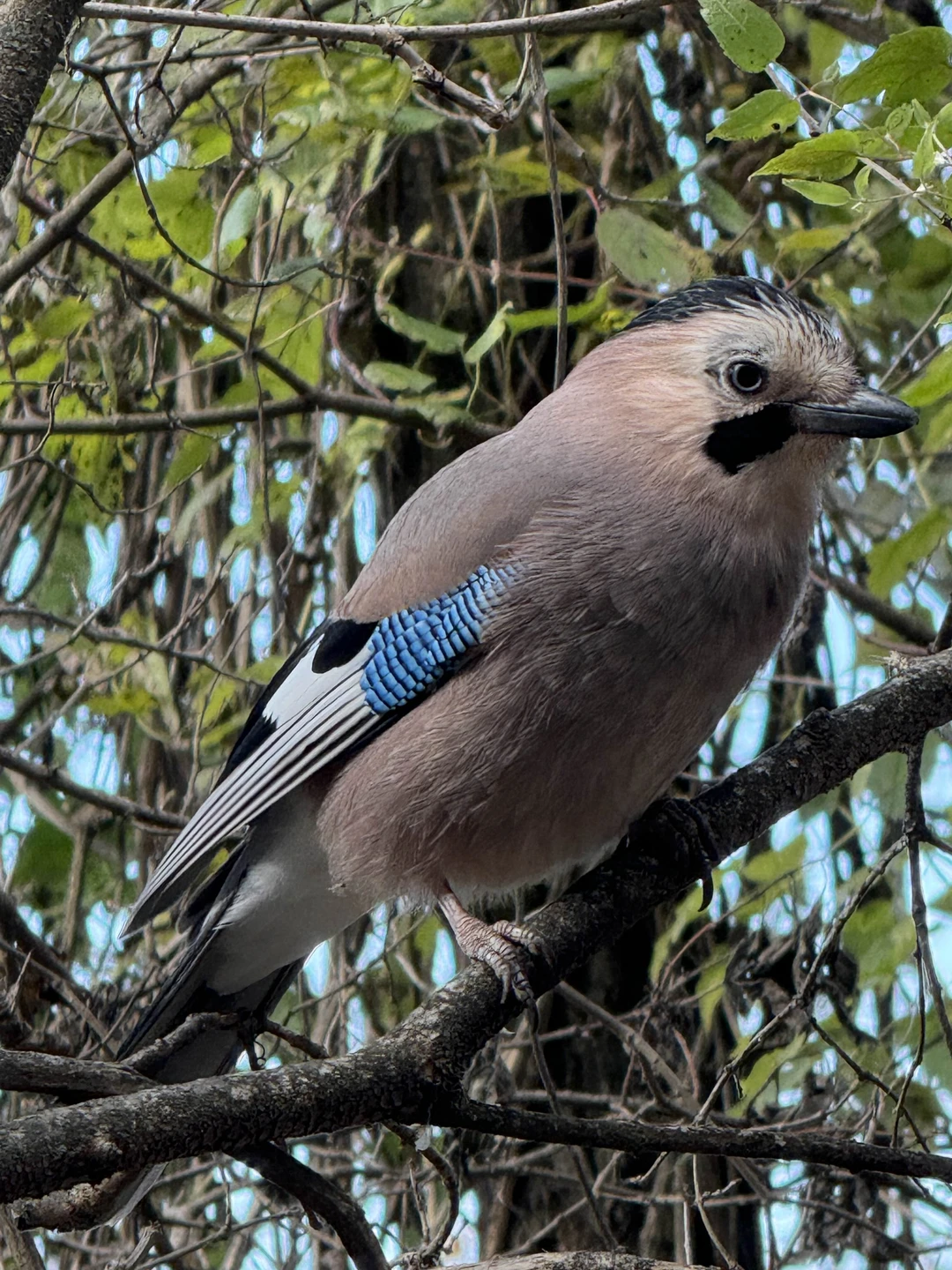 Мы — опытные путешественники из Санкт-Петербурга, повидавшие немало городов и достопримечательностей, умеющие ценить тонкий подход и