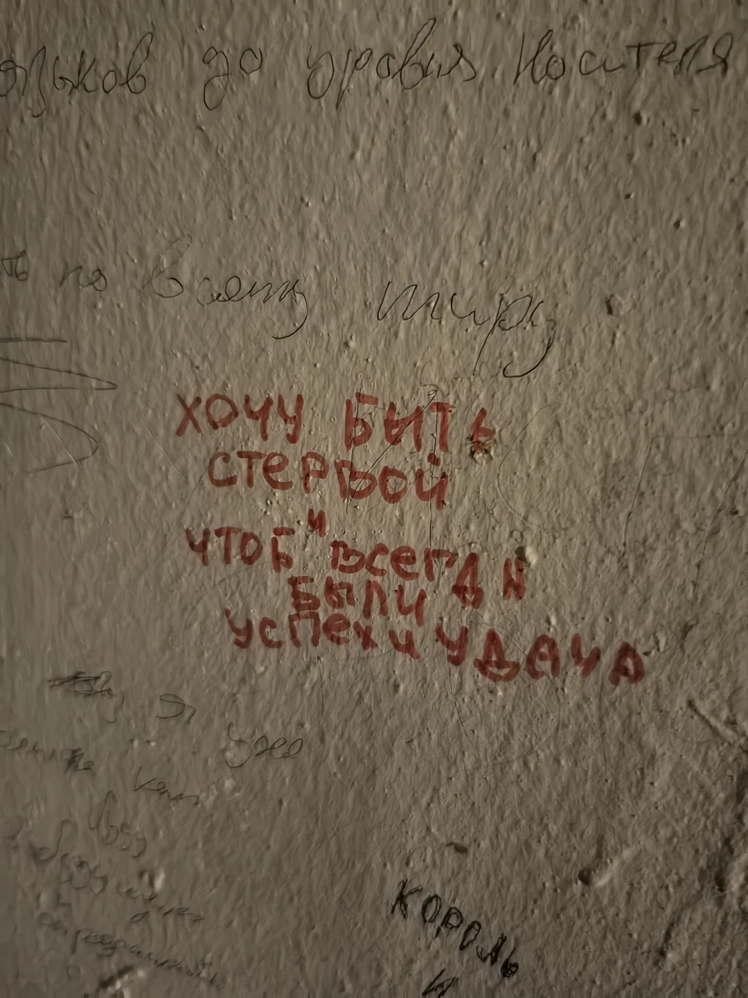 Секретные места Васильевского острова (Наталья)