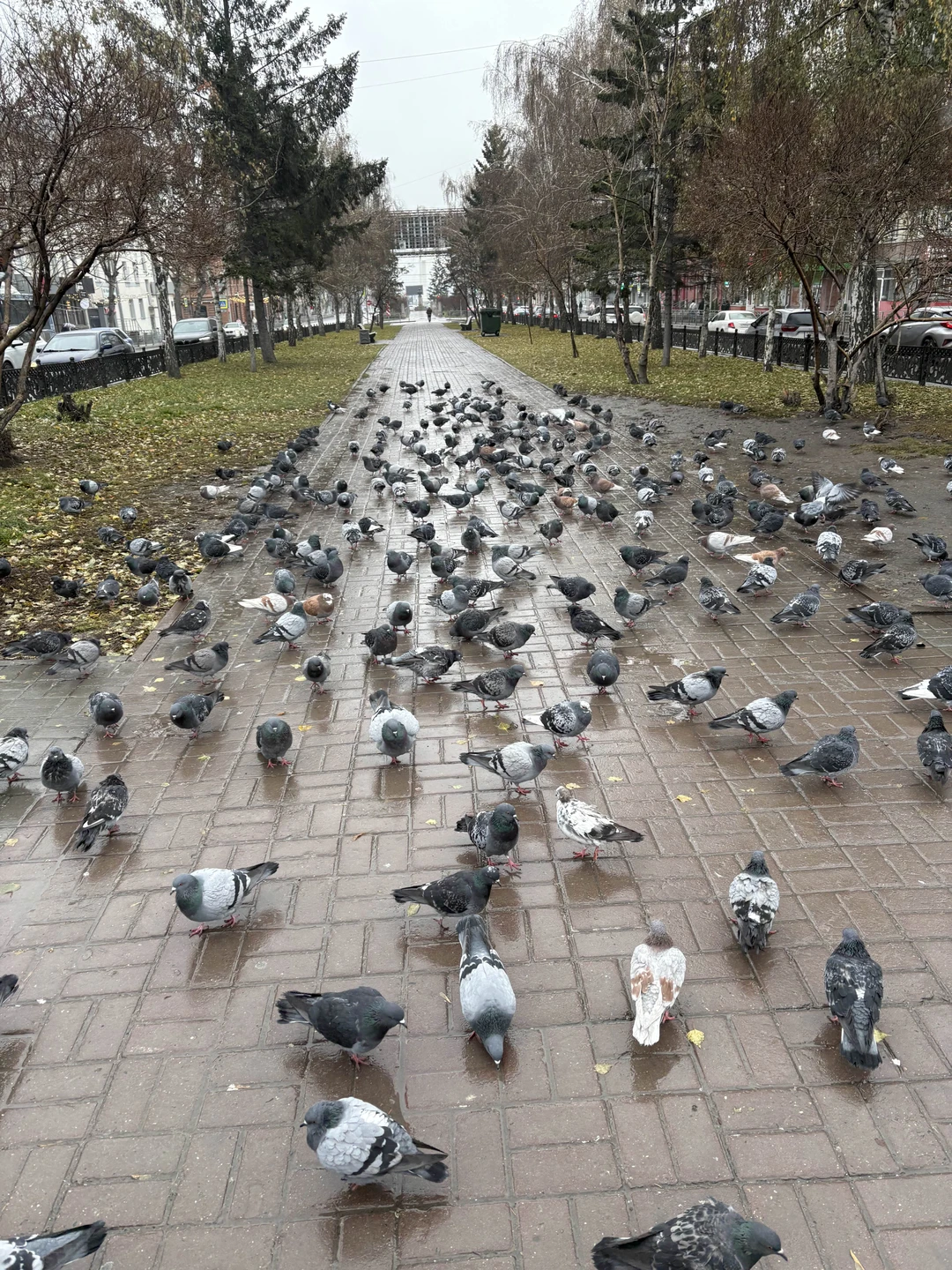 Спасибо Светлане за экскурсию! Очень интересно рассказывала о городе и его жителях. С головой, что называется