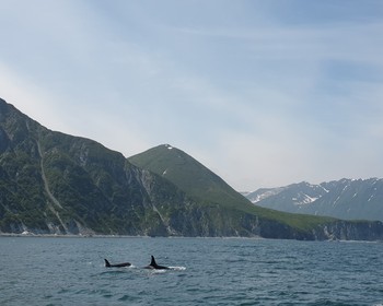 Морская прогулка, рыбалка в бухтах Аванчинского залива и дегустация ухи и краба