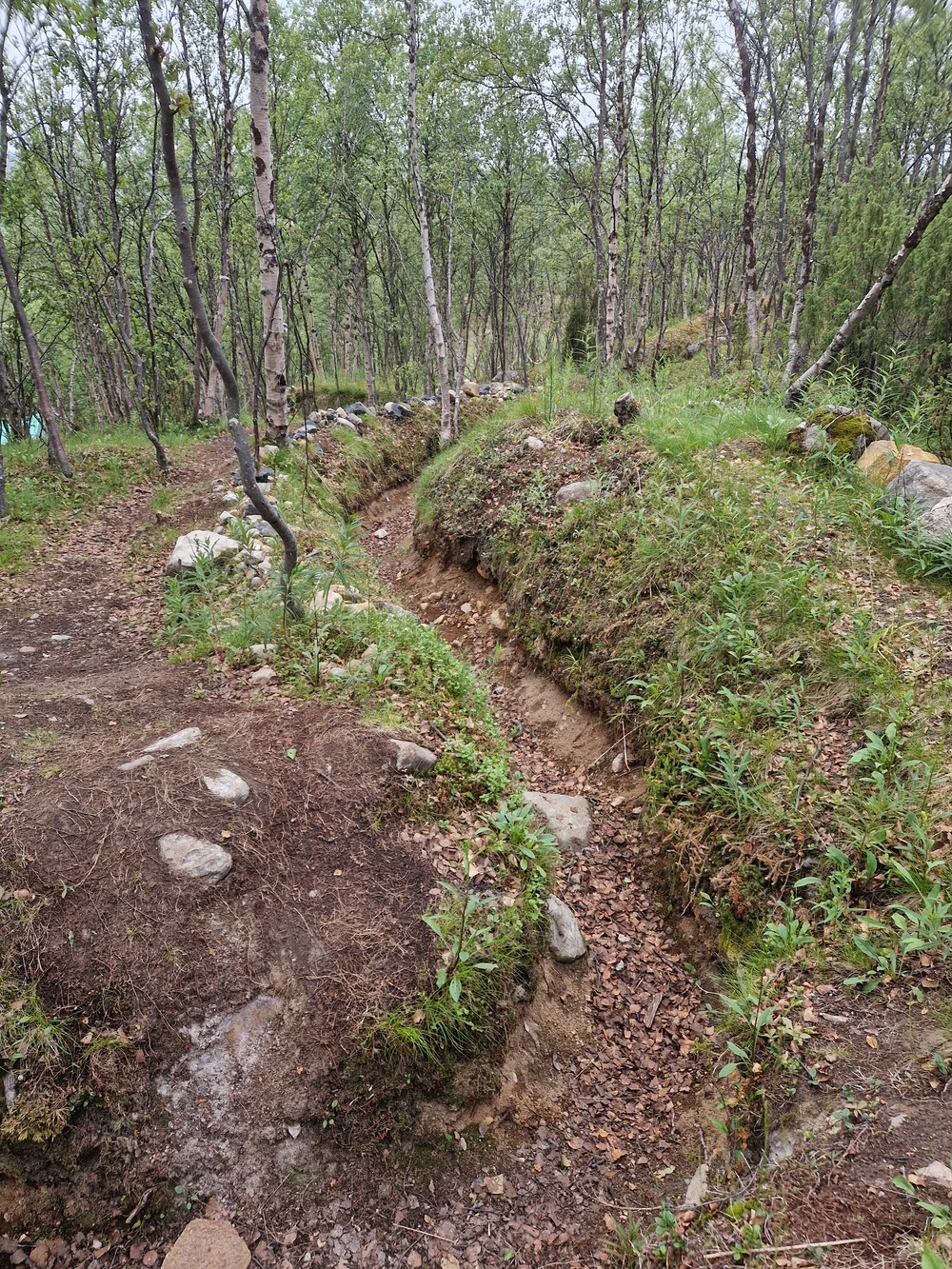 «Цитадели» Долины Славы: высоты Бабуринская и Улей (9/14)