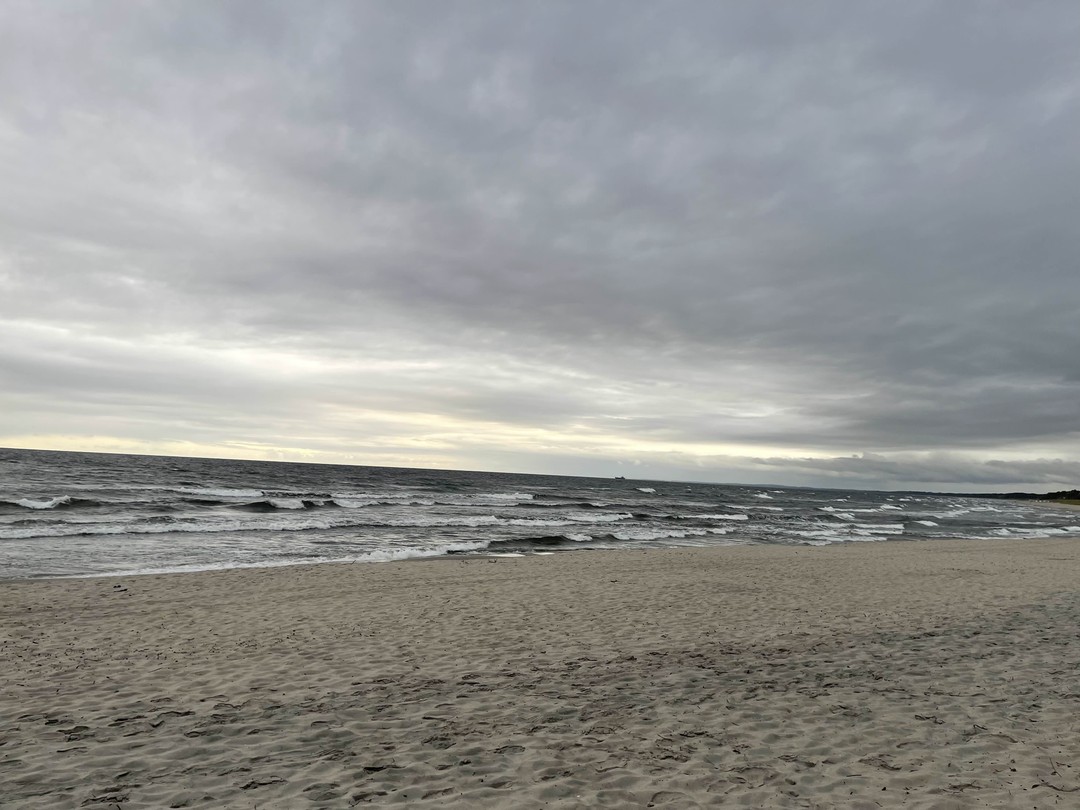 Янтарный, Светлогорск и Филинская бухта - с гидом-писателем (Алексей)