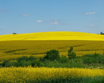 На велосипедах вдоль Мазурского канала