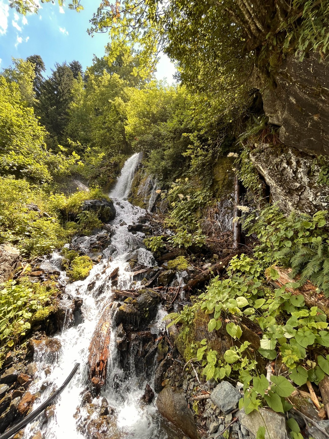Очень Крутая поездка! Красивое Озеро Рица на котором можно поплавать на катамаране, горные реки водопады, голубое