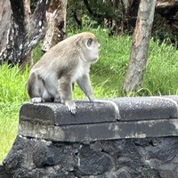 Фото отзыва 1: экскурсия "Порт-Луи и Северный Маврикий"