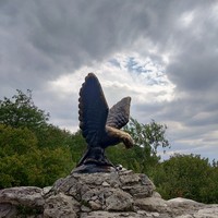 reviews img