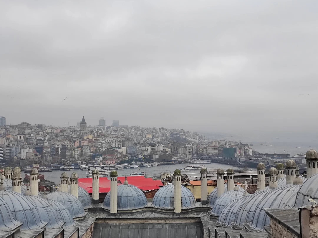 Знакомство со Стамбулом: Старый город + прогулка по Босфору (Маргарита)