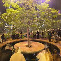 Фото отзыва 1: экскурсия "По Краснодару и парку Галицкого (пешком и на машине)"