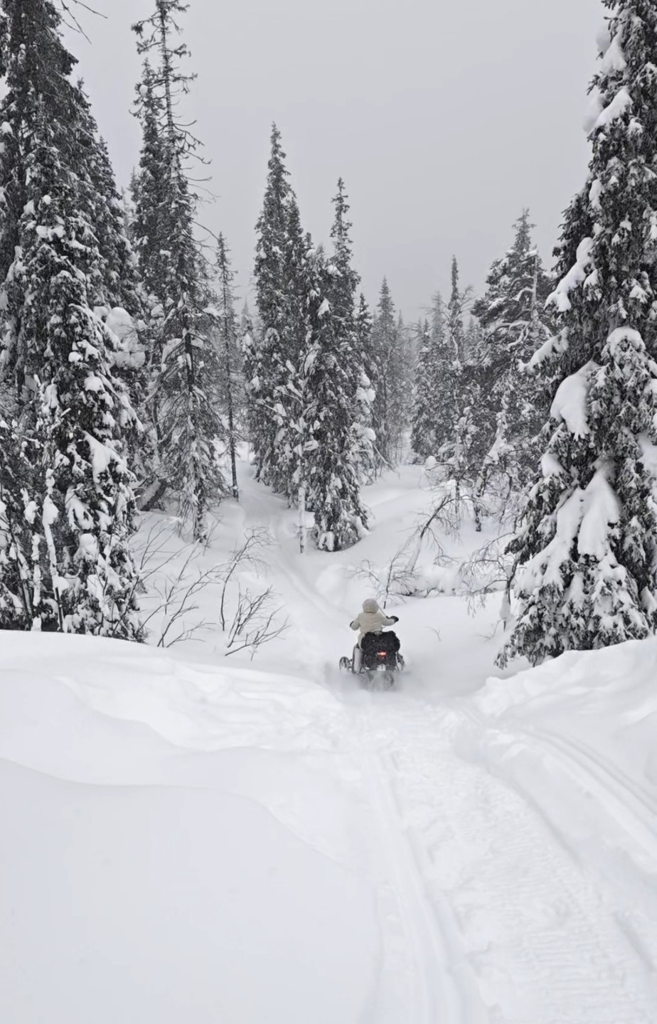 От всей души рекомендую экскурсию на снегоходах и Артёма как опытного и ответственного инструктора!