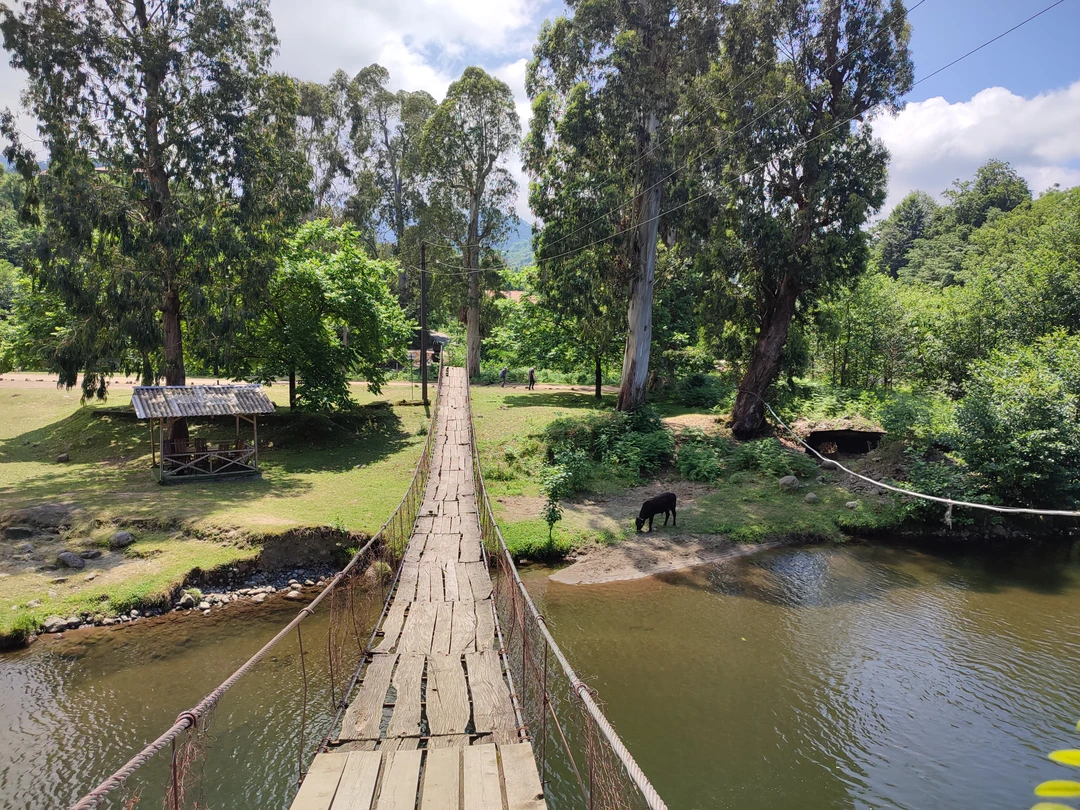 Благодаря Федору мы с дочерью провели замечательный день в Грузии. Каждое место, которое мы посетили, особенное