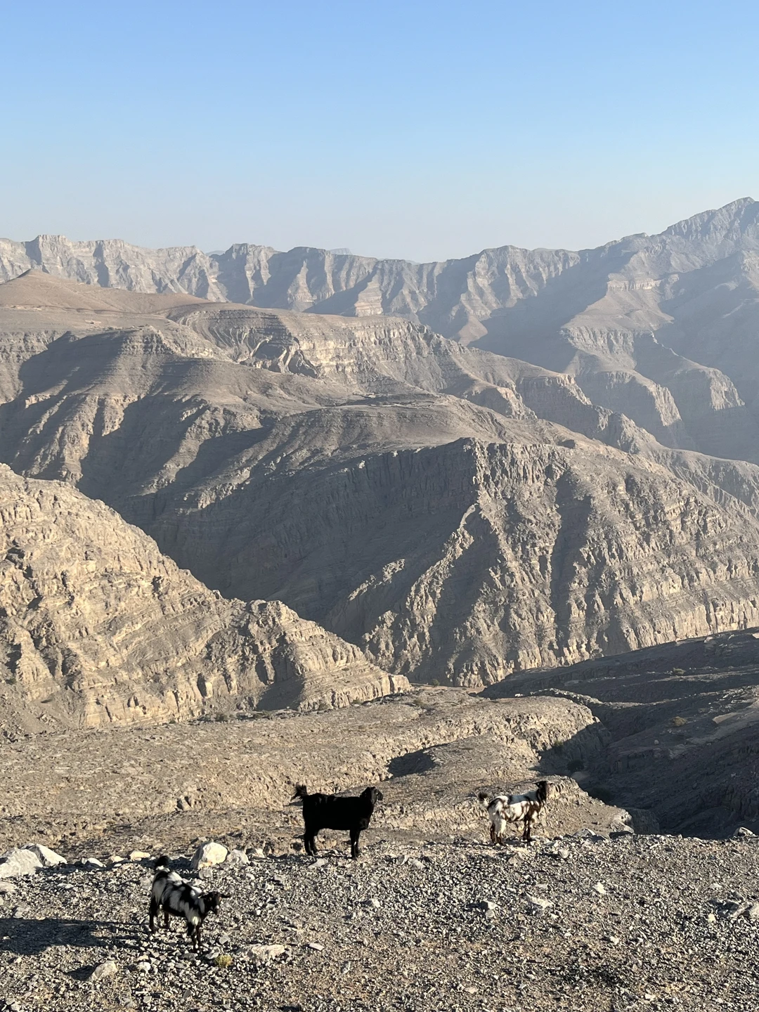 Посмотрели все самые красивые смотровые и закат, приятно поболтали об устройстве эмират