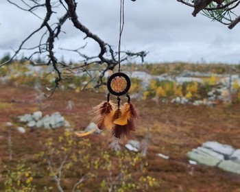 Заброшенная деревня, сбор грибов и ягод и возвращение в Петрозаводск