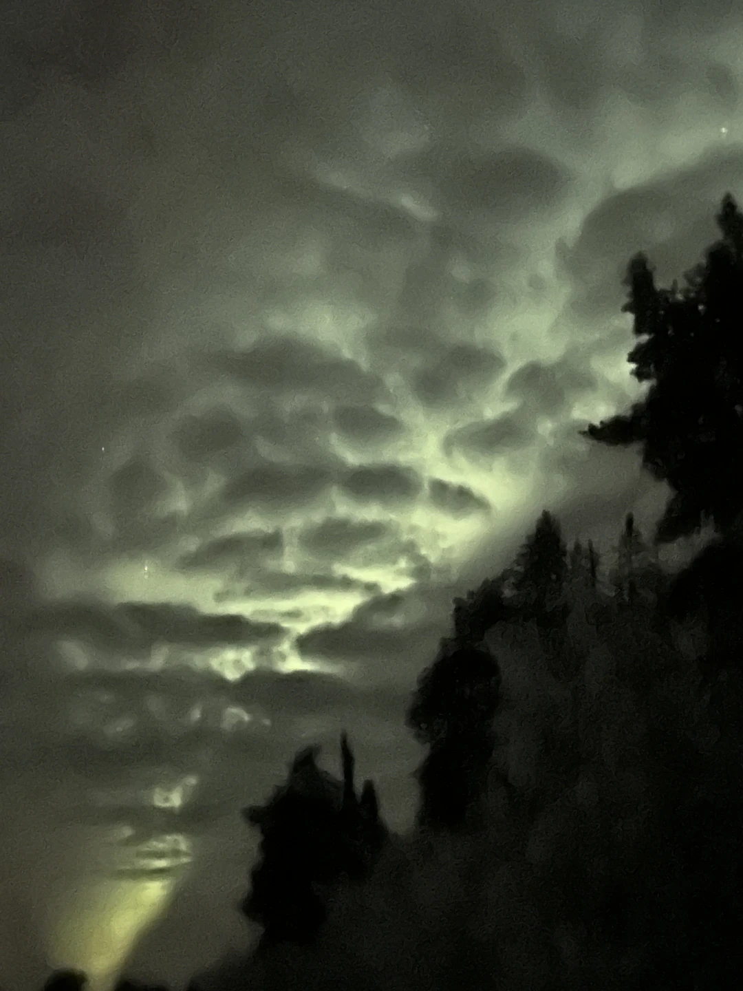 Северное сияние: чудо света в Мурманске (Петрачкова)