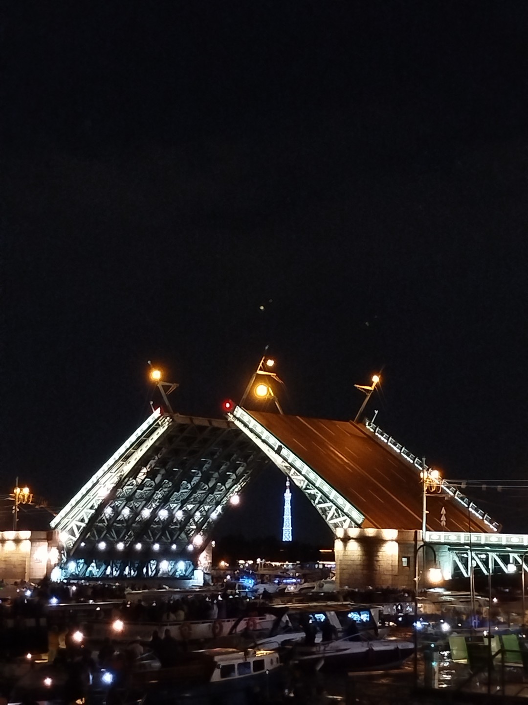 Романтика белых ночей и разводных мостов (Ольга)