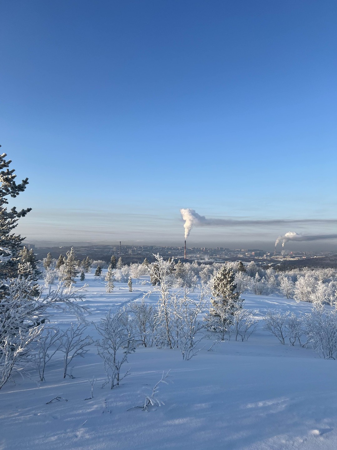 Спасибо за прекрасную прогулку! За все время экскурсии Анатолий очень интересно рассказывал о Мурманске.