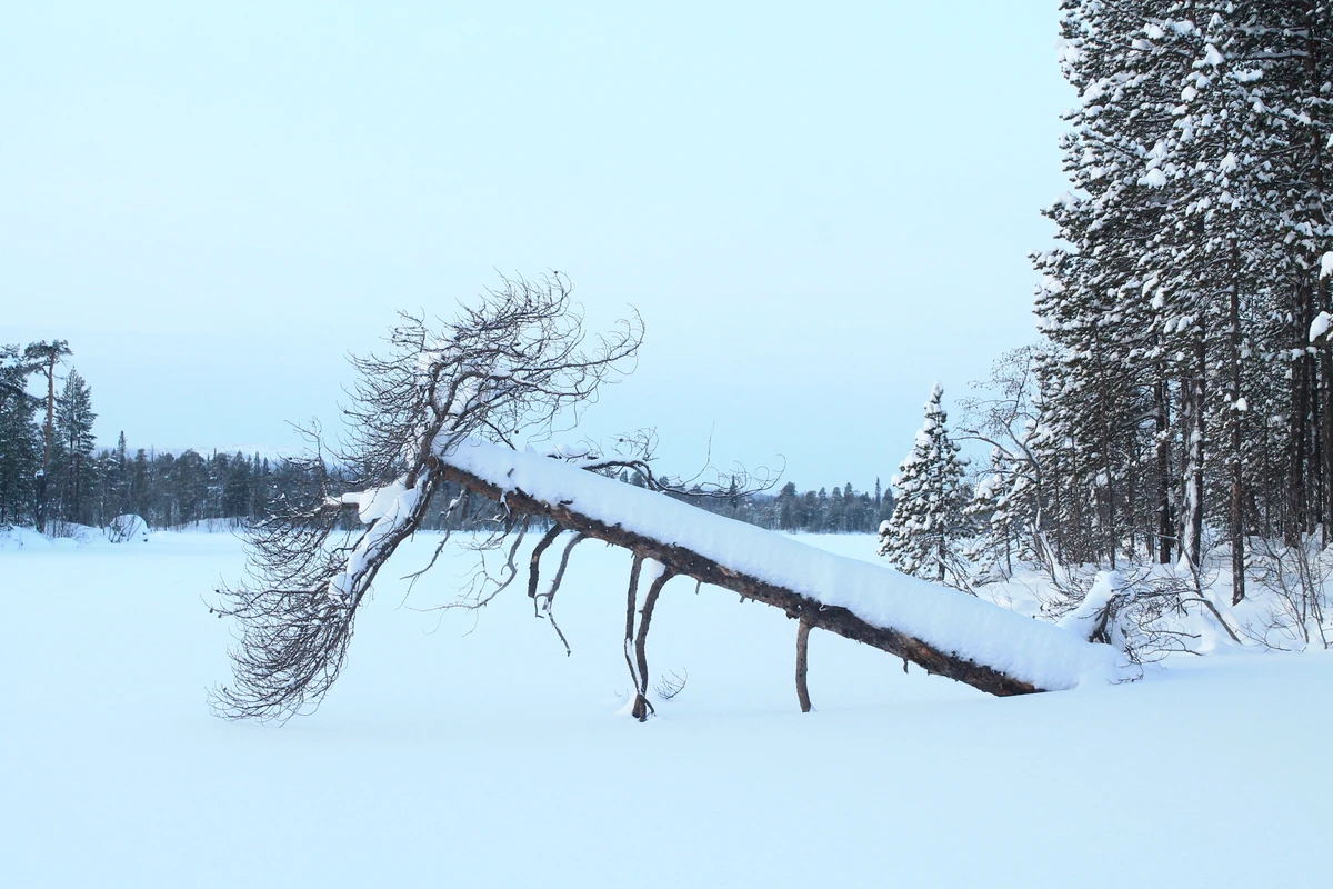 На снегоступах — к Семужному озеру! (12/12)