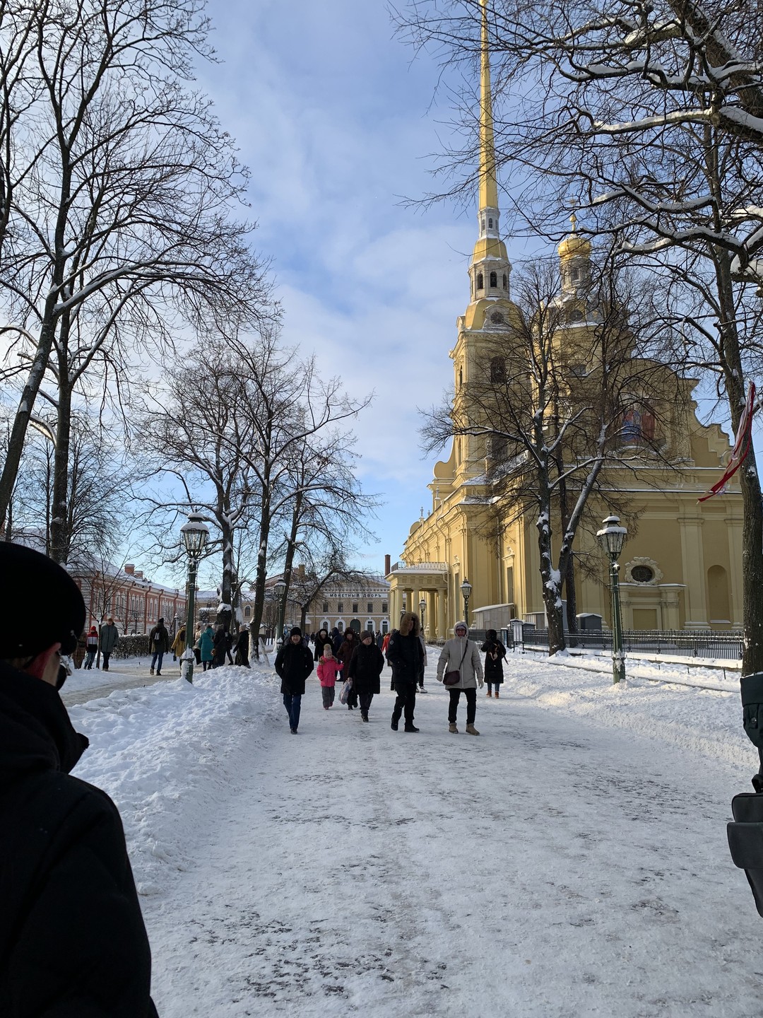 Благодарю за отличную, познавательную экскурсию! Я в Санкт-Петербурге в первые и скажу, что эта экскурсия то что нужно!!!!
