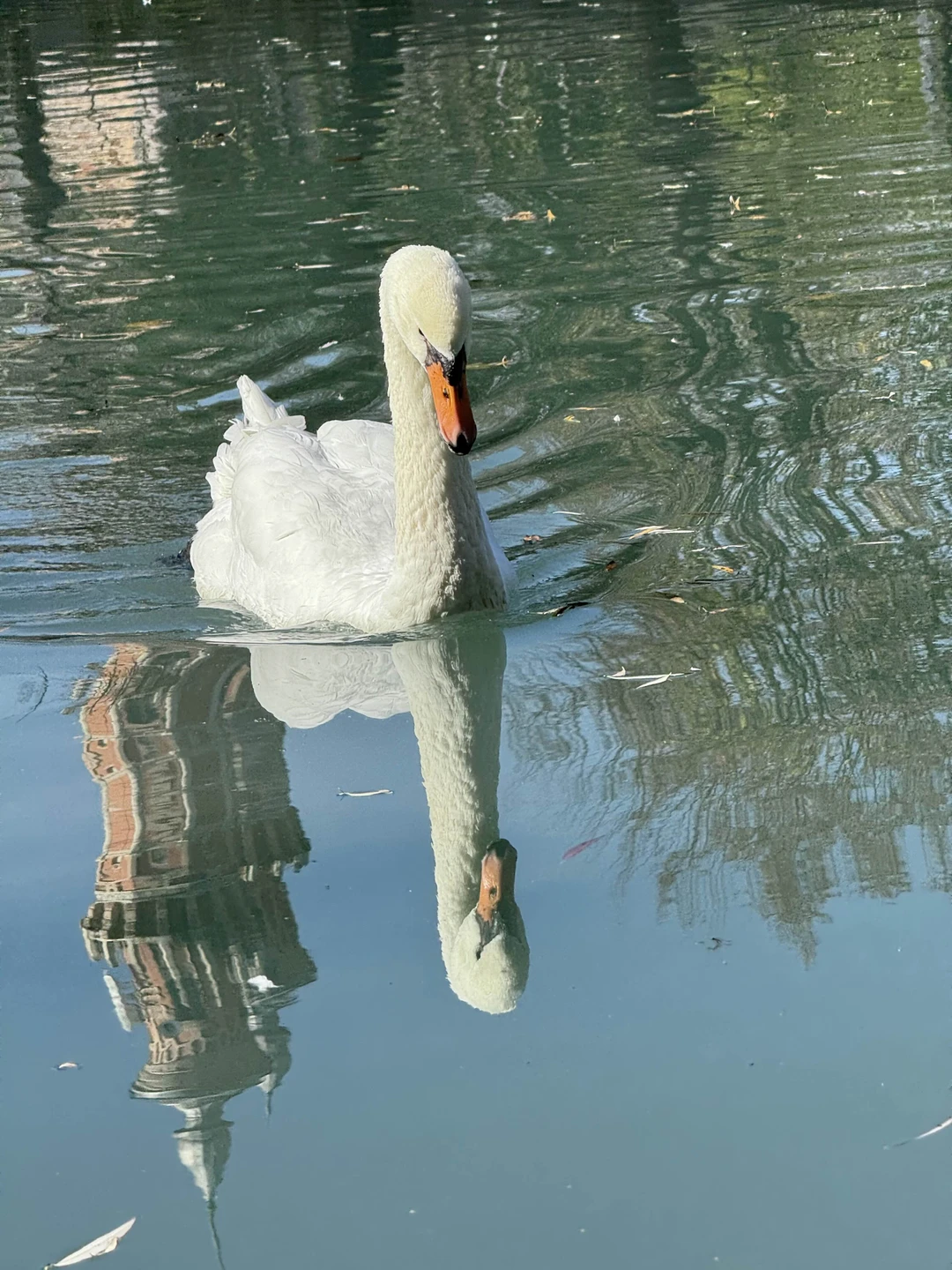Экскурсия очень понравилась, остались под приятным впечатлением. Отличная прогулка с интересным рассказом об истории города и