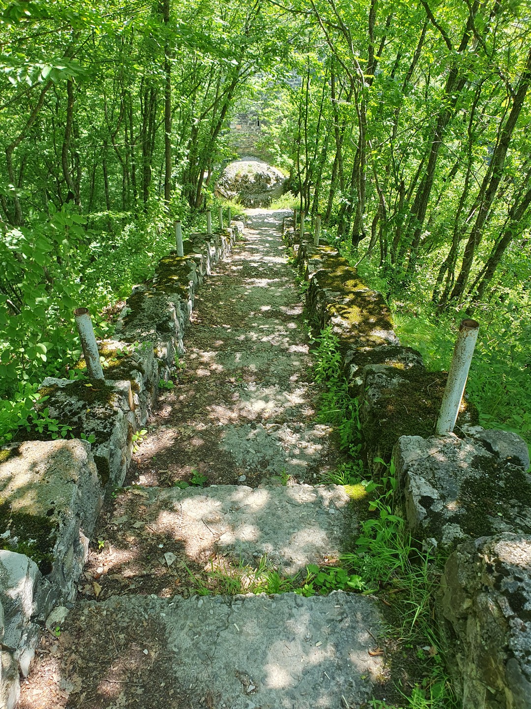 My friends and I have been delighted by our trip to Chechnya's hinterland organized by Hamsat.