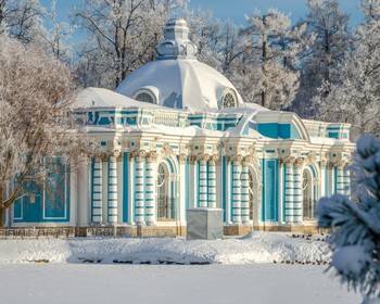 Царское Село и возвращение в Москву