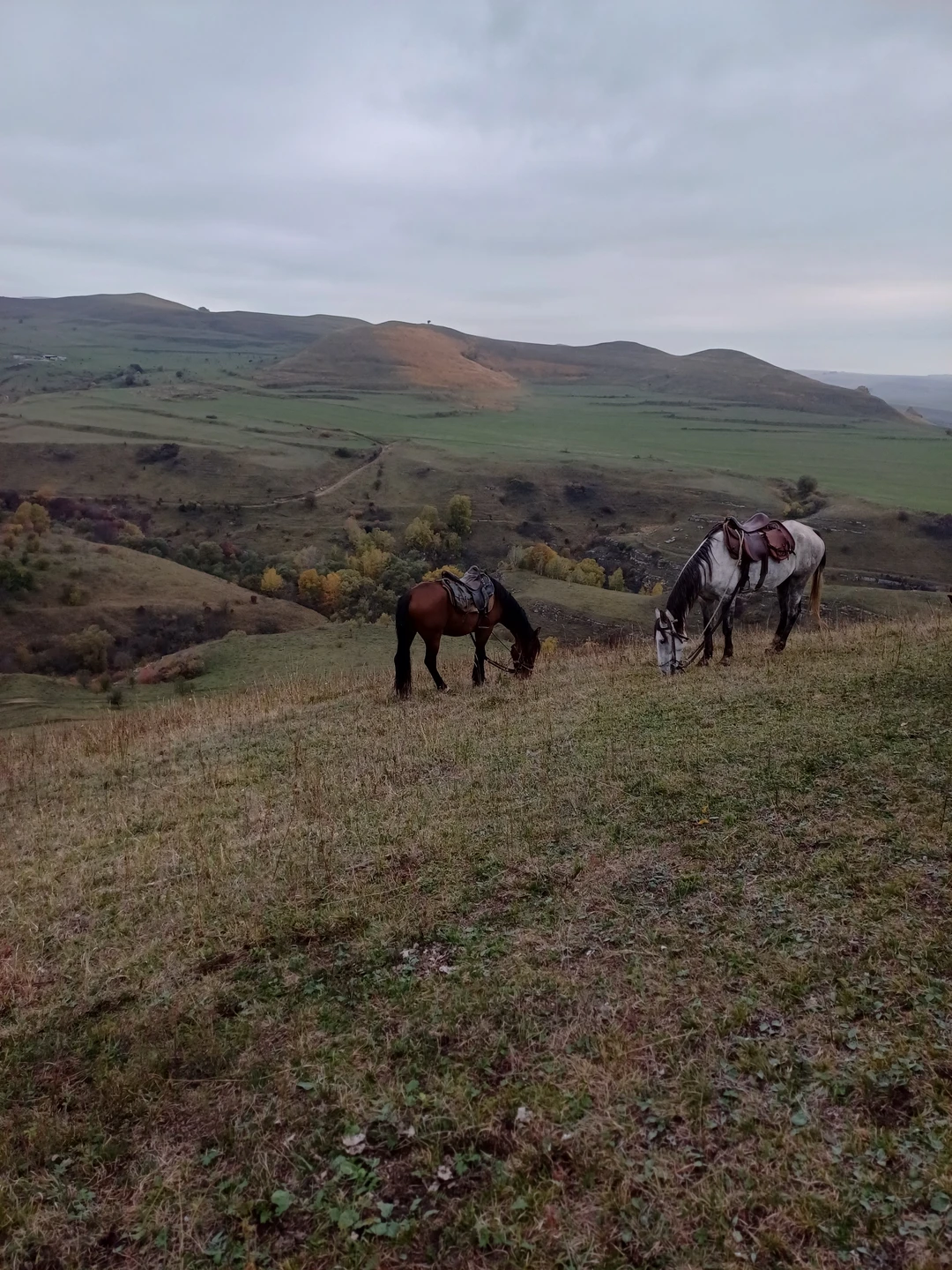 Конная прогулка над ущельем в мини-группе (Мария)