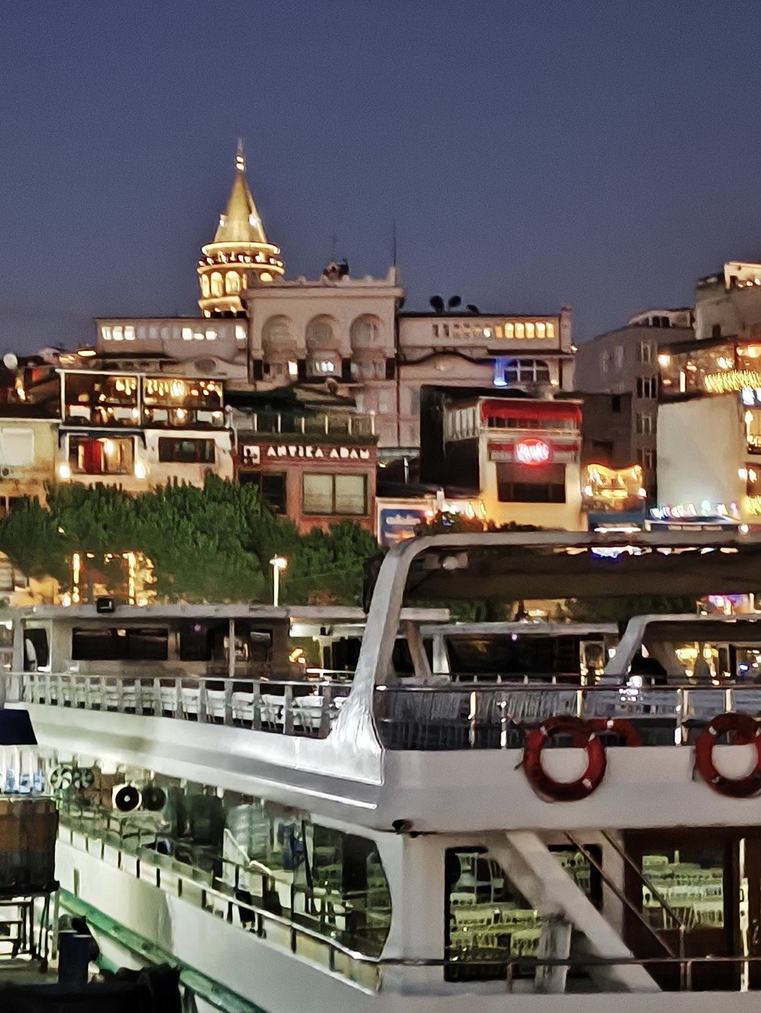 Экскурсия замечательная, мы остались в полном восторге. Ездили 31 декабря на 18ч Босфор в огнях просто