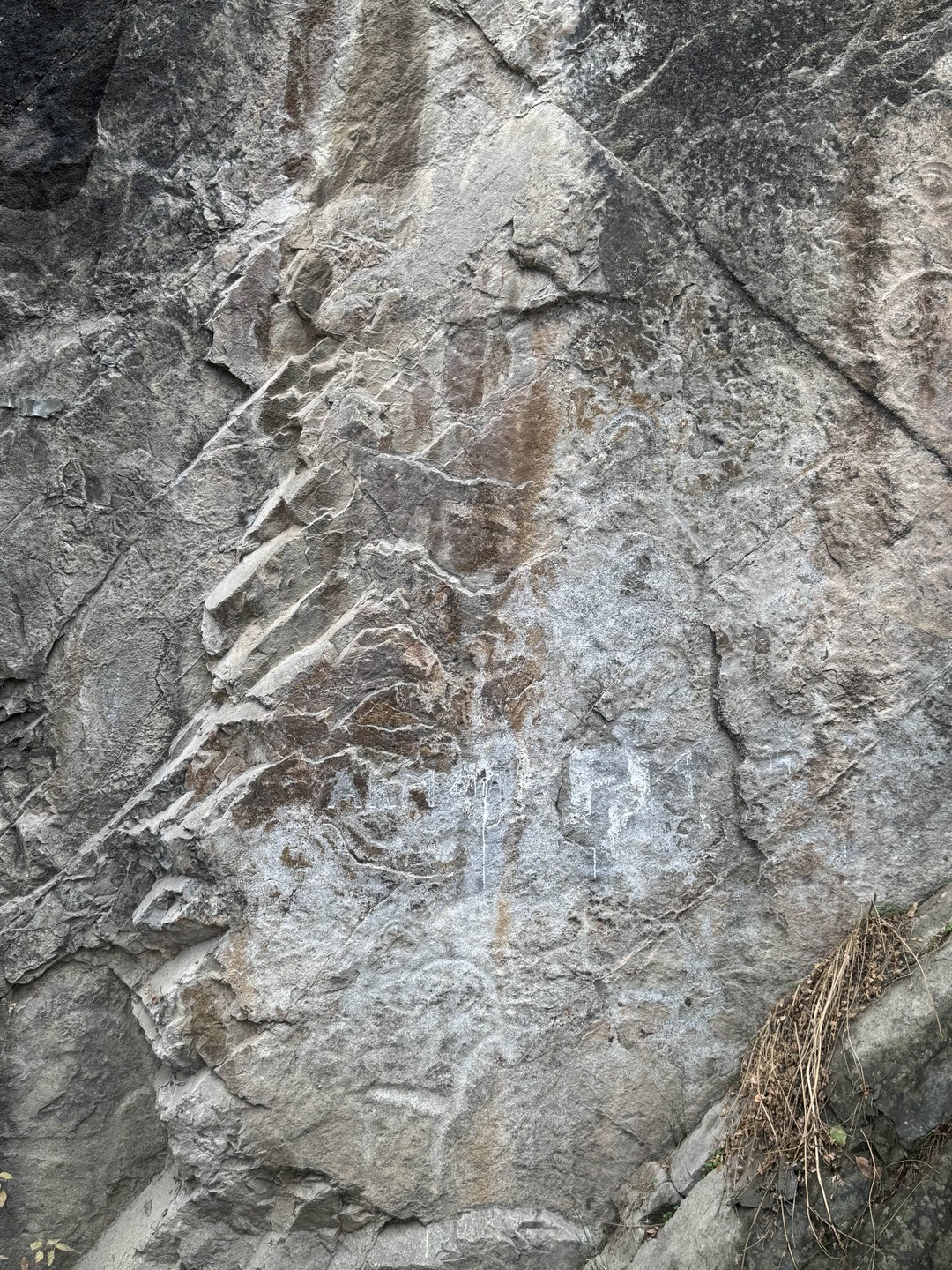 Из Ташкента - в горы Западного Тянь-Шаня (Инга)