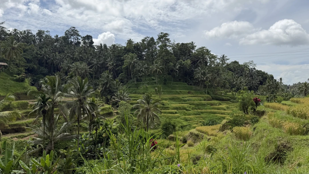 Бали, который вы ждёте (Юлия)