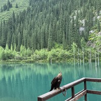 Фото отзыва 3: экскурсия "Озёра Каинды и Кольсай, Черный и Чарынский каньоны — все сокровища Алматы"