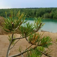 Фото отзыва 1: экскурсия "Кондуки: автобусная экскурсия из Москвы в Тульскую область"