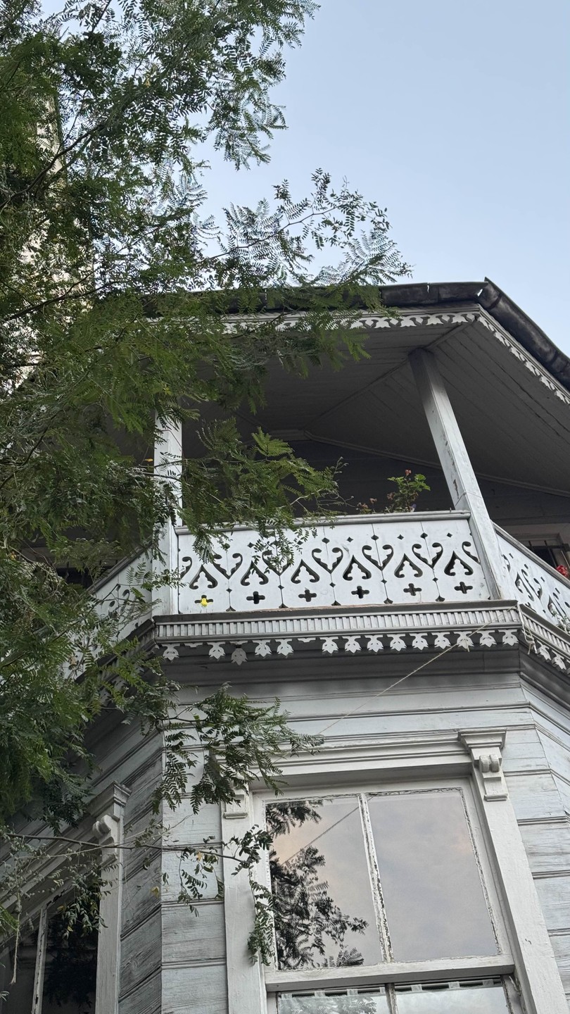 Восточный Стамбул: Кадыкёй, Ускюдар и Кузгунджук (Елизавета)