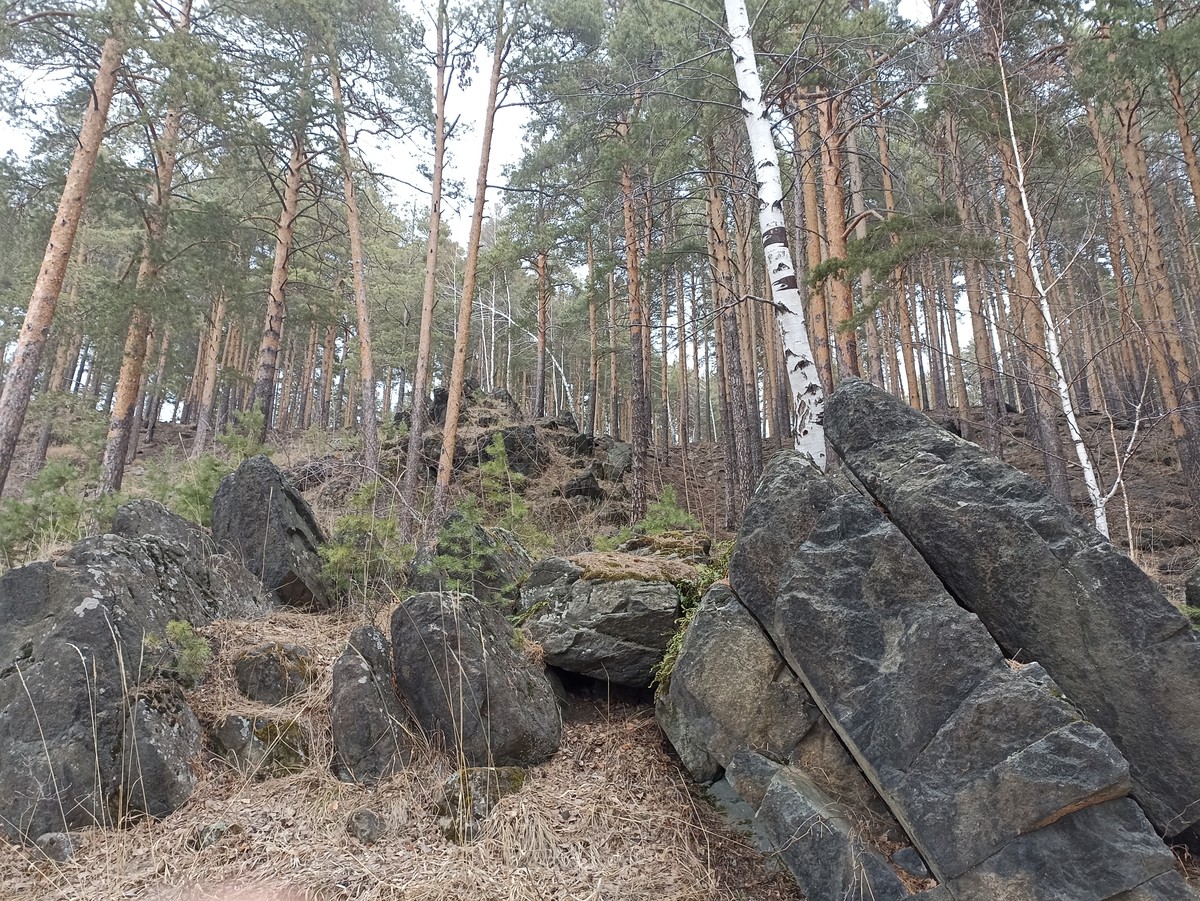 К Уктусским горам — с географом-экологом: отсюда Екатеринбург пошёл (11/12)