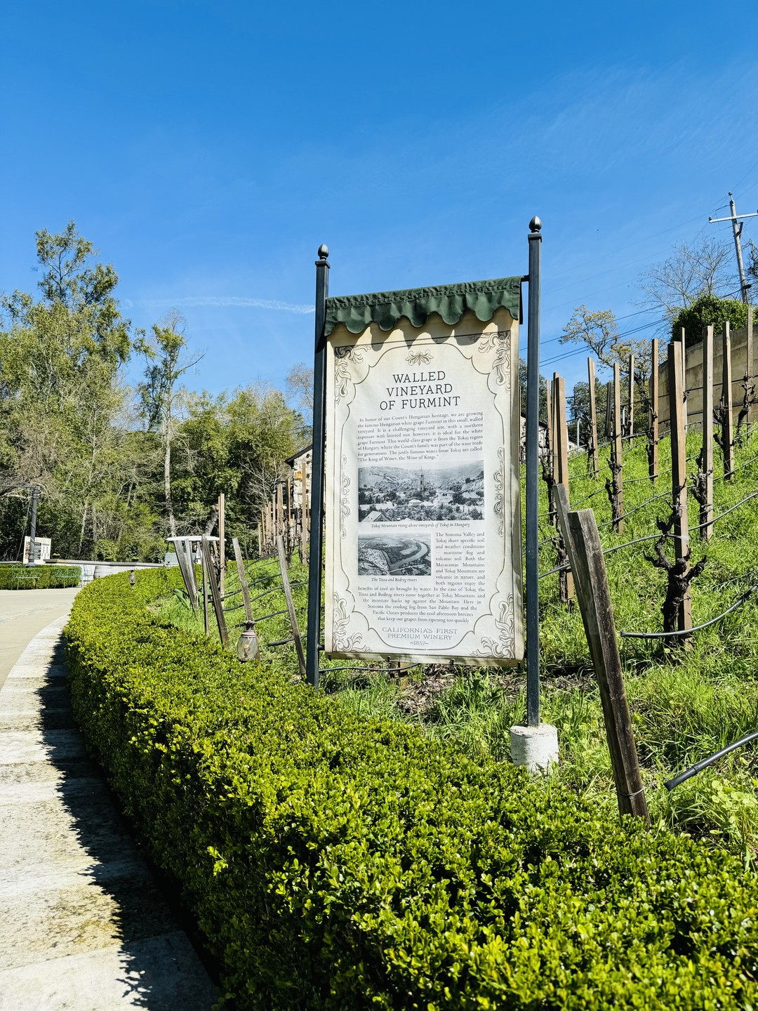 Все было прекрасно)) Лес удивительный, на винодельнях тоже очень понравилось, самое главное, много полезной и интересной