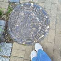 Фото отзыва 4: экскурсия "Куршская коса и Зеленоградск для маленькой компании"