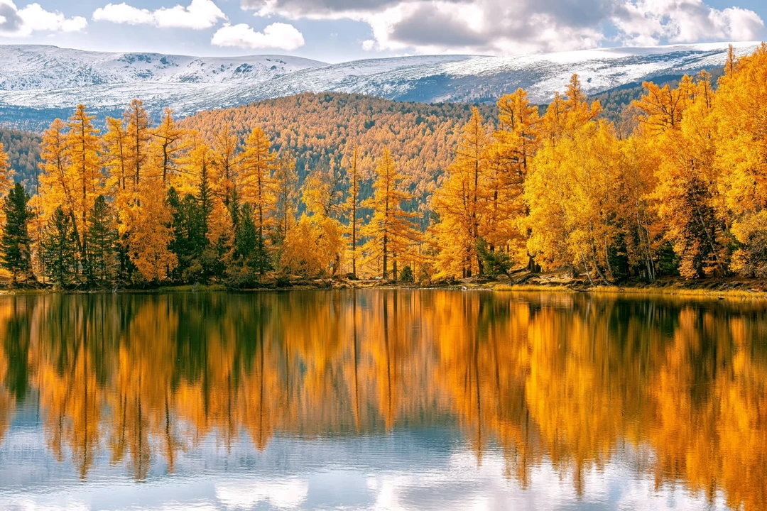 красивые места алтая