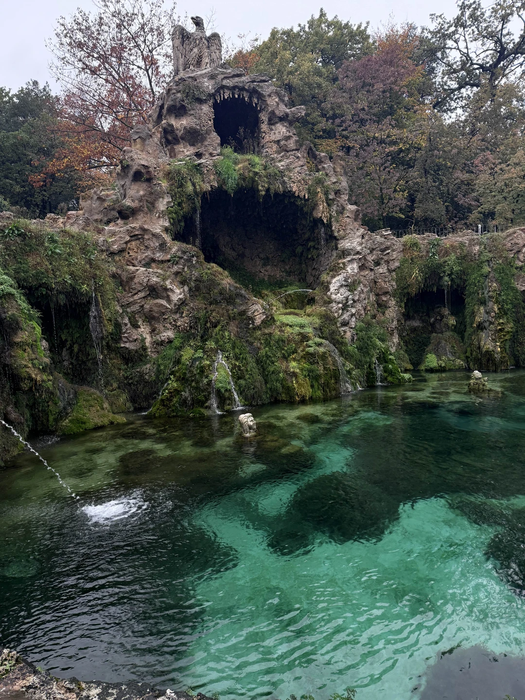 Нелли супер гид! Взяли у неё 2 экскурсии - Колизей и Ватикан. Не пожелали ни на