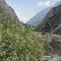 Фото отзыва 4: экскурсия "Чимганские горы, курорт Амирсай, водопады «Фата невесты», Пальтау и Чарвакское водохранилище"