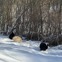 Фото отзыва 3: экскурсия "Кёнигсберг&nbsp;— город-крепость"