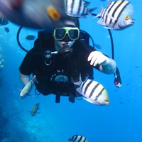 Фото отзыва 1: экскурсия "Дайвинг в Шарм-эль-Шейхе"