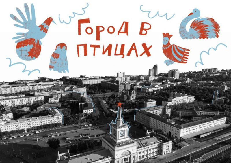 Город в птицах: мобильный квест в Волгограде