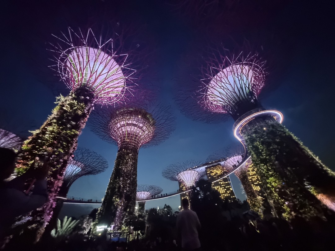 Большое спасибо гиду Марине за невероятно интересную и познавательную экскурсию!